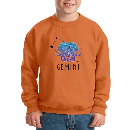 Sweatshirt enfant Gemini brodé pour passionnés d'astrologie - 2