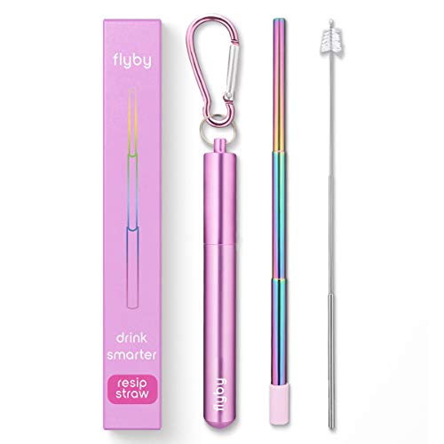 Flyby Portable Reusable Drinking Straws | Collapsible & Foldable Telescopic Stainless Steel Metal Straw Dispenser | Final Aluminum Case, Long Cleaning Brush, Silicone Tip | Pink Rainbow | 1-Pack