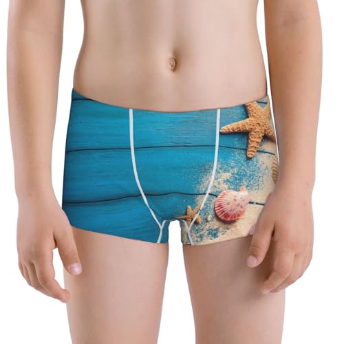 Boys' Cotton Boxer Brief Soft Underwear-Shells And Starfish