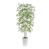 Photo Gallery fsohoi albero artificiale di bambù, pianta falsa di bambù verde con tavola alta, foglie di seta interna esterna finto albero (1, 6ft) Photo Gallery fsohoi albero artificiale di bambù, pianta falsa di bambù verde con tavola alta, foglie di seta interna esterna finto albero (1, 6ft)