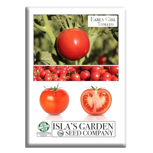Early Girl Tomato Seeds for Planting 25+ Seeds Per Packet (Islas Garden Seeds) Non GMO Seeds Botanical Name: Solanum lycopersicum 90% Germination Rate Great Home Garden Gift