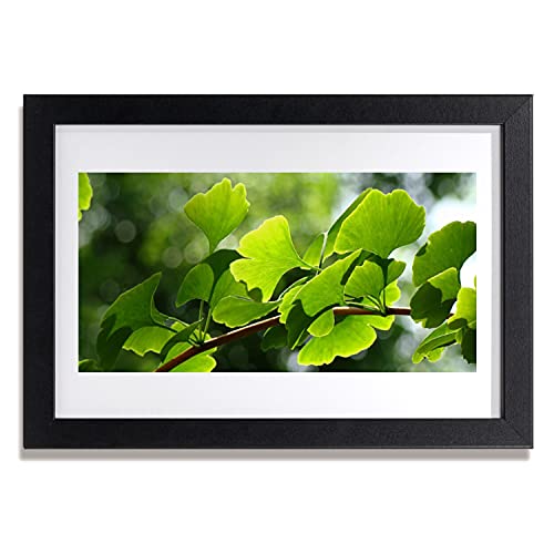 Affiche avec cadre salon cuisine et chambre Tulup 30x20 cm décoration murale arbre et nature