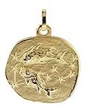 anhänger fischer regensburg Sternzeichen-Anhänger in 333 Gold/8 Karat. Motiv: Fische (20.02.-20.03.). Durchmesser Gold-Anhänger: 20 mm. Ideal kombinierbar mit trendor Gold-Ketten. Passende Ketten finden Sie in unserem Sortiment