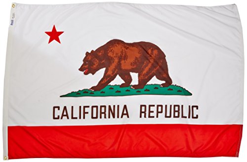 Annin Flagmakers California State Flag USA-Made to Official State Design Specifications, 4 x 6 Feet (Model 140470)