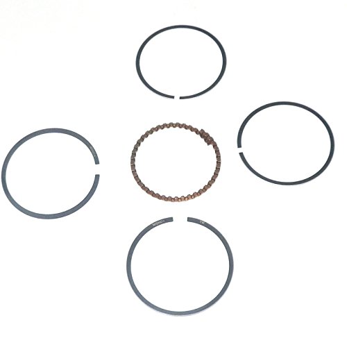 Fascia Elastica Per Pistoni 41 X 1,5 Mm | Leroy Merlin