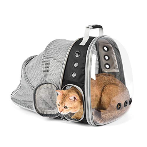 pet astronaut bubble backpack