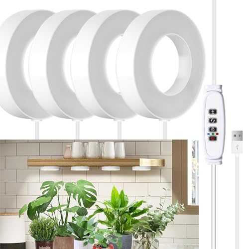 Armarios Cultivo Interior Completo Marca Afenau