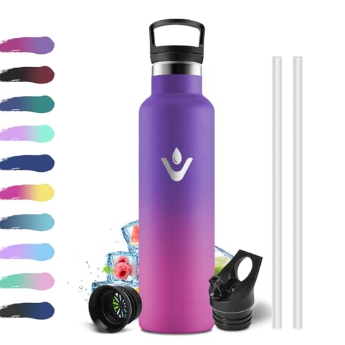 Botella Agua Acero Inoxidable 750ml, Cantimplora Termo con Pajita y Filtro, sin BPA, Reutilizable, Fácil de llevar, Termo a Prueba de Fugas, Cantimplora para Adultos, Oficina, Escuela, Bicicleta