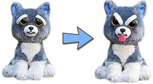 Feisty Pets Expressions Silly Sammy Suckerpunch le chien enfonce sa langue