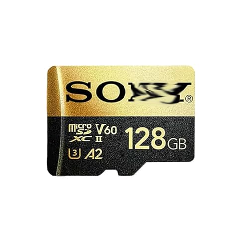 Micro SD Classe 10 XCII A2 V60 4K Professionnel