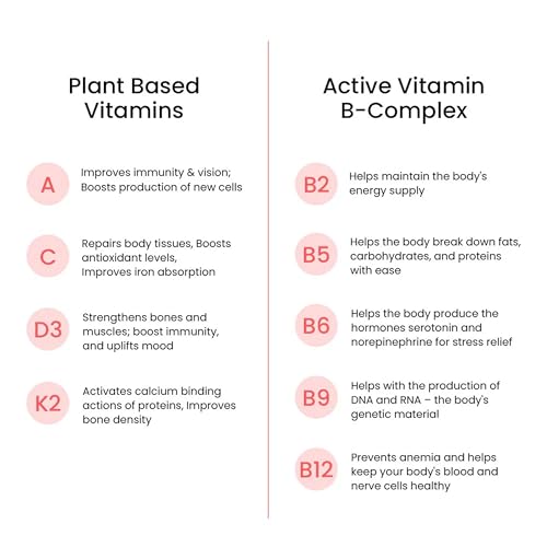 Wellbeing Nutrition Melts Plant Based Multivitamin for Men & Women with 100% RDA of Zinc, B-Complex, Vitamin C, D3 + K2(MK7), Ashwagandha & Ginseng for Immunity & Energy, 30 Oral Strips