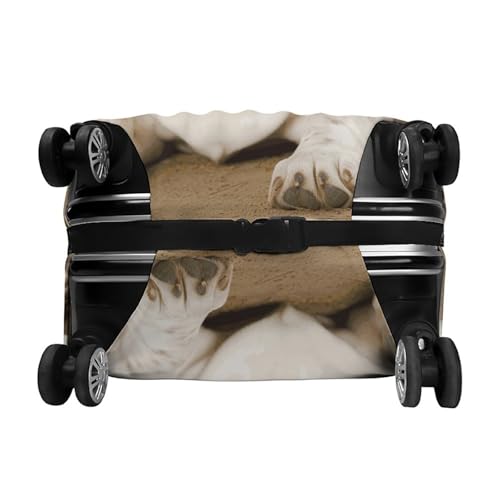 Housse valise polyester élastique lavable blanche motif Basset Hound taille S
