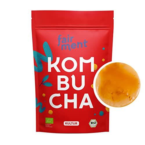 Fairment - Original Kombucha Tee Pilz in Premium Größe | Erfolgsgarantie | Besonders Vitaler Scoby | Bio-Qualität für 1-5L | Mit Kombucha Getränk Anleitung