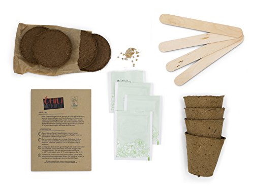 SATTE SAAT Chili Anzucht-Set zur Aufzucht scharfer Chili-Pflanzen mit ökologischen Pflanztöpfen, Anzuchterde, Holz-Sticks, Chili-Samen und Anleitung - Pflanzset Geschenk zu Geburtstag oder Ostern - Image 5