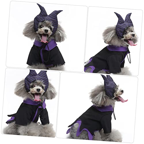 Disfraz para perro bruja S 3 piezas POPETPOP Halloween miniatura 7