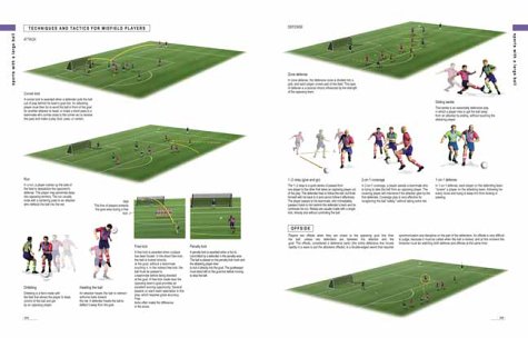 Sports: The Complete Visual Reference