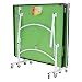 Butterfly Easifold 19 Rollaway Indoor Table Tennis Table, Green
