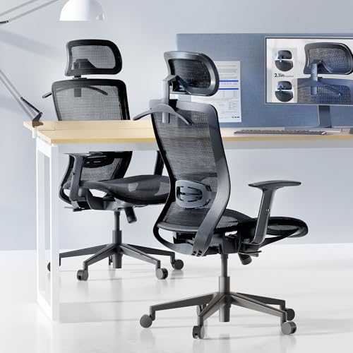 Image of FLEXISPOT OC3 Air Ergonomic Office Chair Mesh Back Swivel Computer Chair Executive Office Desk Chairs with Adjustable Lumbar Support /2D Headrest /Lockable Backrest, Mesh Seat Cushion, Black