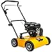 TEXAS Profi Rasen Vertikutierer Rasenlüfter Garten Benzin Pro Cut 460TG | 212ccm | 5,7PS | 4-Takt | 46 cm Arbeitsbreite | 4200 Watt | 48 Messer | Profigerät; für eine gewerbliche Nutzung geeignet