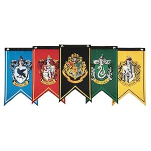 Con*Quest Journals Harry Potter Hausbanner 5er-Set