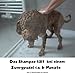 Moki Bär Hundeshampoo wit wertvollem Arganöl aus Marokko I Für geschmeidiges Fell und Gute Kämmbarkeit I Made in Germany