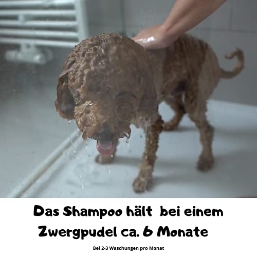 Moki Bär Hundeshampoo wit wertvollem Arganöl aus Marokko I Für geschmeidiges Fell und Gute Kämmbarkeit I Made in Germany