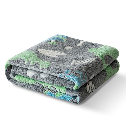 \tgt[XuPbggANZT[ԉOgp\t@Jo[uPbg