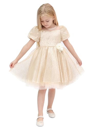 Lilax Little Girls Glitter Tulle Dress, Sparkle Polka Dots Princess Gown