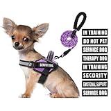 Service Dog Vest Harness and Leash Set, Animire in Training Dog Harness with 10 Dog Patches, Reflective Dog Leash with Soft Padded Handle for Small, Medium, Large, and Extra-Large Dogs (Purple, S)