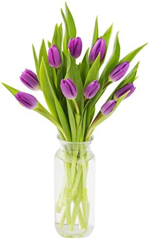 KaBloom Bouquet of Fresh Purple Tulips with Vase (Farm-Fresh, Cut-to-Order and Homegrown in the USA)