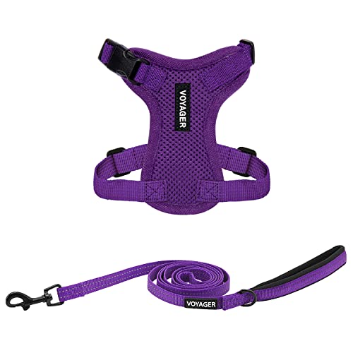 Image of Best Pet Supplies Voyager Step-in Lock Pet Harness w Reflective Pet Leash Combo Set with Neoprene Handle 5ft - Supports Small, Medium and Large Breed Puppies /Cats - Purple, XXS