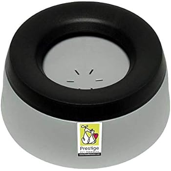 tibetan terrier kijiji