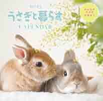 ★うさうさぎ★今夜タイムセール中‼️専用 ぴょこぴょこはねるよフワフワうさちゃん 49189 アーテック 学童