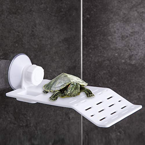 Best Shelves For Reptile Tanks, According To Experts