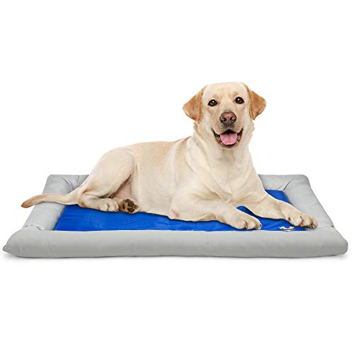 Arf Pets Dog Self Cooling Bed Pet Bed â€“ Solid Gel Based Self Cooling Mat for Pets, Includes a Foam Based Bolster Bed for Extra Comfort