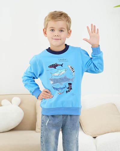 Akyzic Boys Sweatshirts Cotton Long Sleeve Crewneck Pullover Toddler Kids Winter Warm Shirt Sweater Tops 3t-8t4