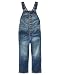 Osh Kosh Baby Girls' Toddler World's Best Overalls, Medium, 2T