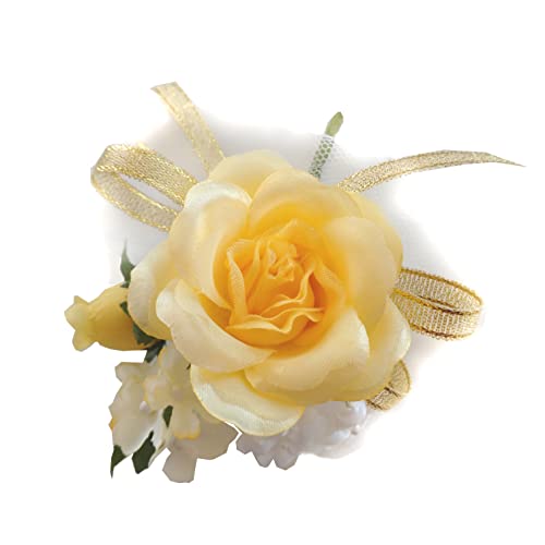 yt@~ADRz{ƃo CG[ cs-30-02  i RT[W  ԏ    w Ǝ Cxg \