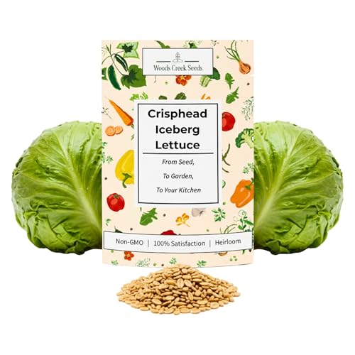 Crisphead Iceberg Lettuce Seeds for Planting - Heirloom, Non-GMO Head Variety with Dense, Crunchy Heads for Fresh Salads, Sandwiches, and Home Garden Growing | Woods Creek Seeds