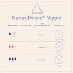 Lansinoh Anti-Colic Baby Bottles for Breastfeeding Babies, 8 Ounces, 3 Count, Includes 3 Medium Flow Nipples, Size M - Image 5