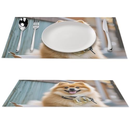 Set de table Poméranie lavable antidérapant résistant en PVC cuisine