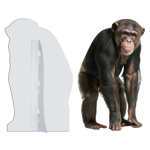 Image of Gorilla 3FT Life Size Cardboard Cutout, 1 PC, for Party Decor | Fun Animal Cardboard Standup for Events, Birthday, Photos, Party Decorations, Holiday Themed Gatherings, Photo Booth Props