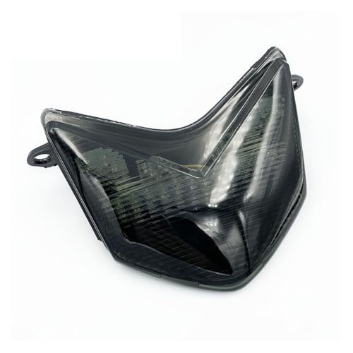 Feu arrière LED pour Kawasaki ZX10R 2006 2007 avec clignotants fumés
