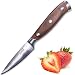 Kanzen Paring Knife 3.5 Inch - High Carbon Stainless Steel, Packaged in Gift Box, Razor Sharp, Perfect for Fruit and Vegetables, Ideal for Peeling, Slicing, Mincing, and Dicing! Full Tang Construction