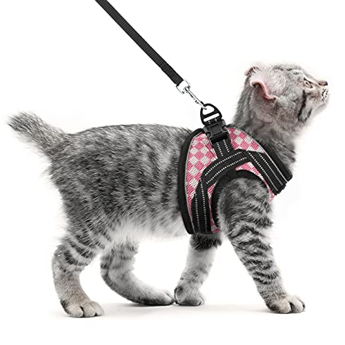 rabbitgoo Cat Harness and Leash, Escape Proof Cat Walking Harness, Adjustable Soft Mesh Kitty Vest Harness for Cats…