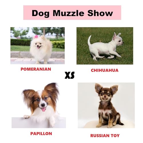 Hundemaulkorb verhindert Beißen und Fressen Bellen und Kauen, Nylon-Maulkorb für kleine, mittelgroße Hunde mit atmungsaktivem Netz, weicher Hunde-Mundschutz mit Verstellbarer Schlaufe (XS)