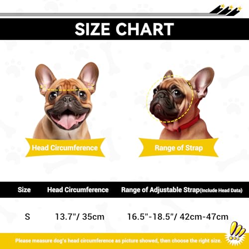 PETLESO Dog Helmet with Goggles Durable Pet Rivet Helmet UV Protection Clear Dog Sunglasses for Small Dogs Puppy - Image 4