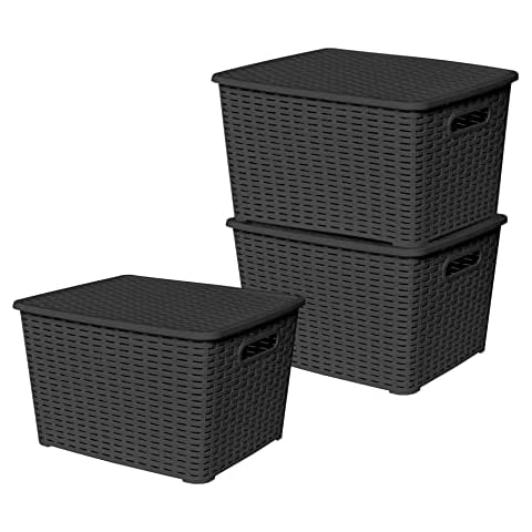 Boîtes de rangement Sotufab Plast Cover