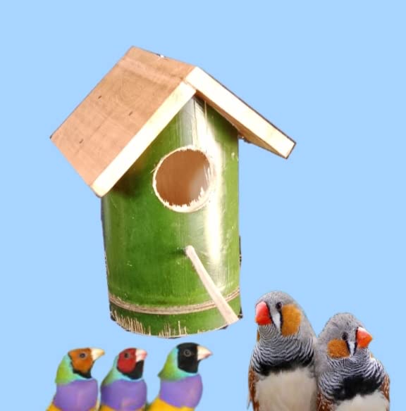 Bamboo Birds nest Box Finches, Sparrow : Amazon.in: Pet Supplies