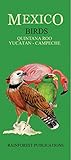quintana roo meteo  Mexico: Birds - Quintana Roo, Yucatan, Campeche